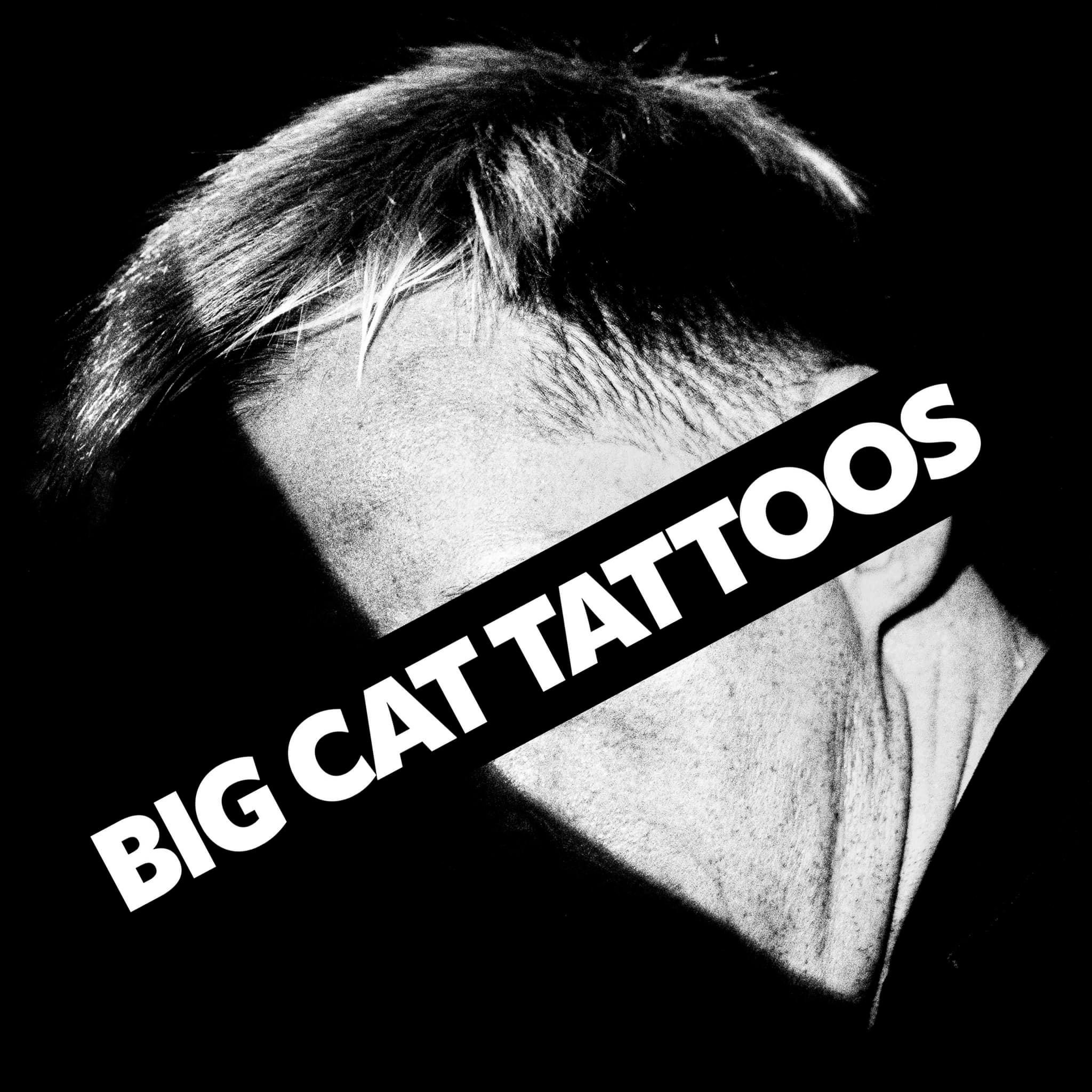 Big Cat Tattoos And A Firmer Hand – New Music From Hamish Hawk